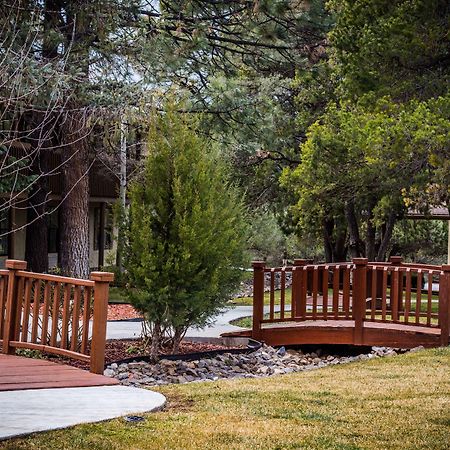 Best Western Pine Springs Inn Ruidoso Downs Buitenkant foto