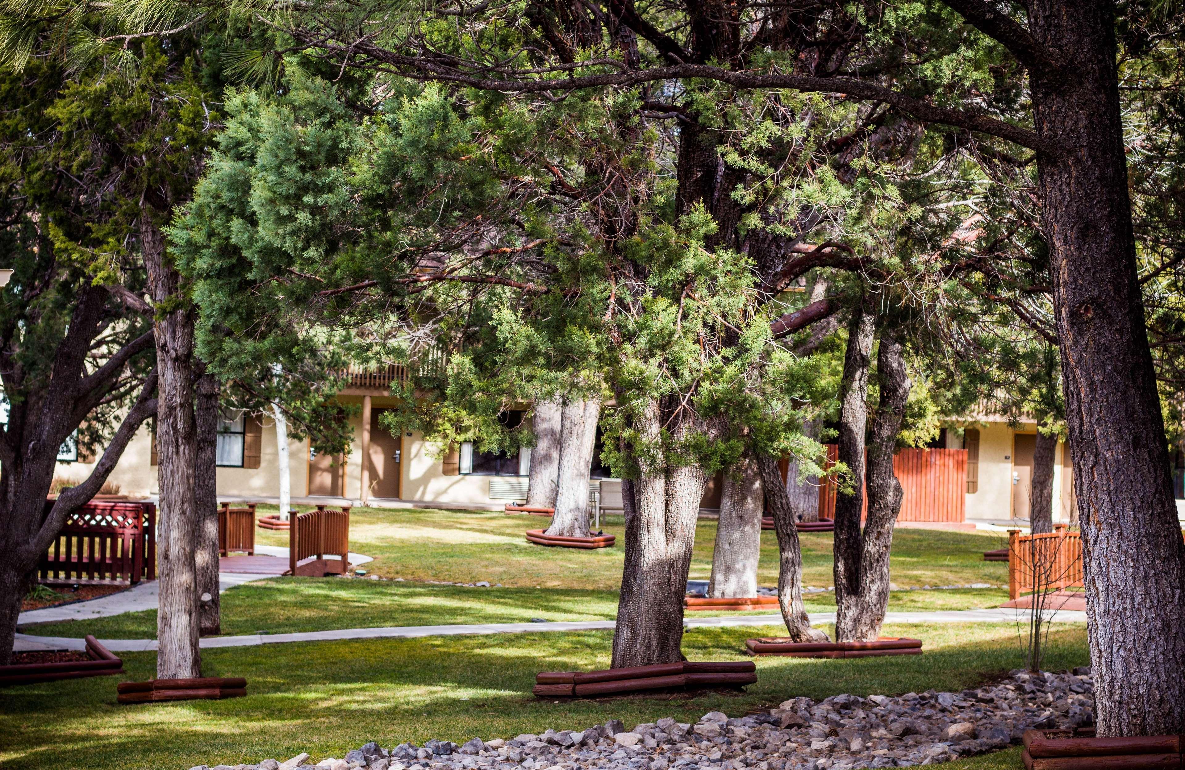 Best Western Pine Springs Inn Ruidoso Downs Buitenkant foto