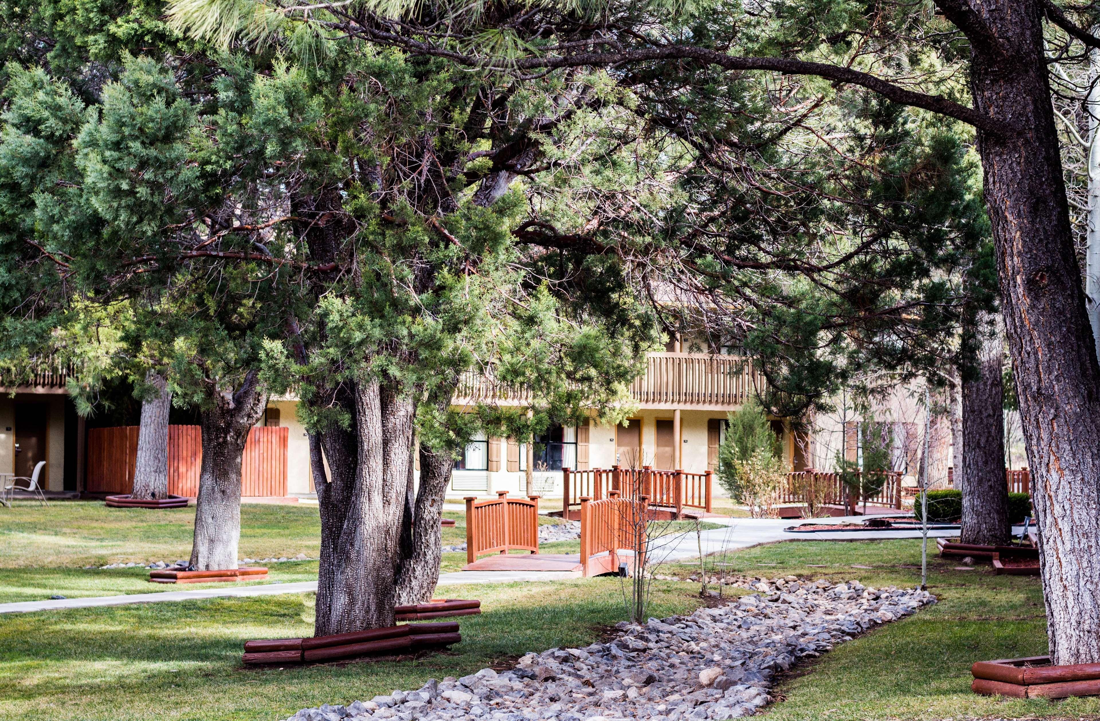 Best Western Pine Springs Inn Ruidoso Downs Buitenkant foto